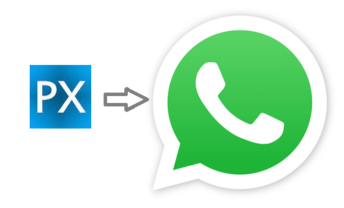 px to whats app